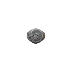 Sterling silver dragon eye scales ring front view