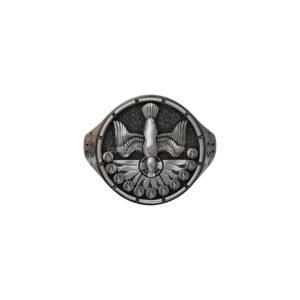 Sterling silver holy spirit dove signet ring with segmented border and radiating light